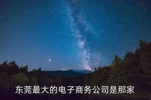 東莞最大的電子商務公司是那家