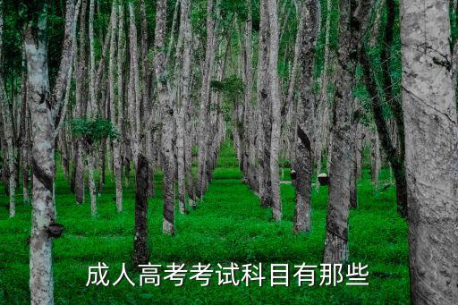 成人高考考試科目有那些