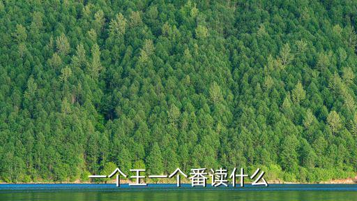 一個王一個番讀什么
