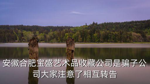 安徽合肥寶盛藝術(shù)品收藏公司是騙子公司大家注意了相互轉(zhuǎn)告