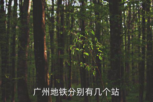 廣州地鐵分別有幾個站
