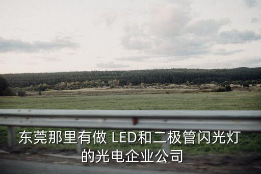 東莞那里有做 LED和二極管閃光燈 的光電企業公司