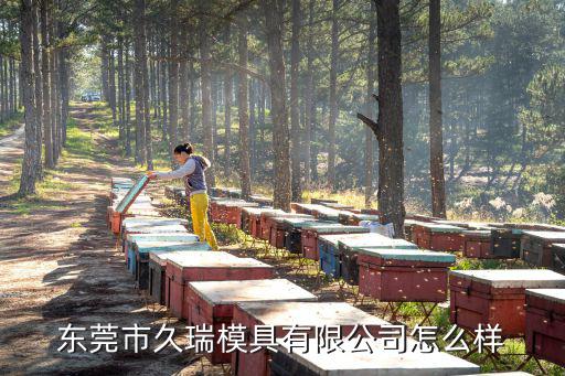 東莞市久瑞模具有限公司怎么樣