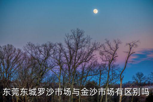 東莞東城羅沙市場與金沙市場有區別嗎