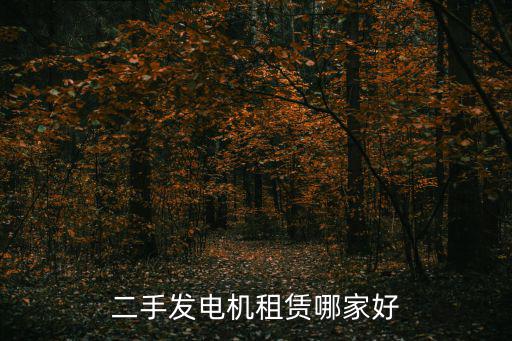 二手發(fā)電機(jī)租賃哪家好