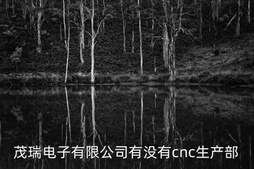 茂瑞電子有限公司有沒有cnc生產部