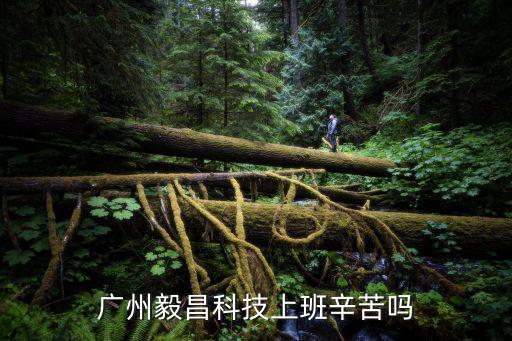 廣州毅昌科技上班辛苦嗎