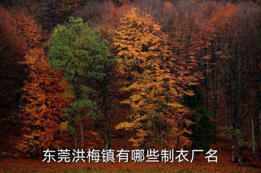 東莞洪梅鎮(zhèn)有哪些制衣廠名