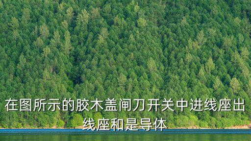 在圖所示的膠木蓋閘刀開關(guān)中進線座出線座和是導(dǎo)體