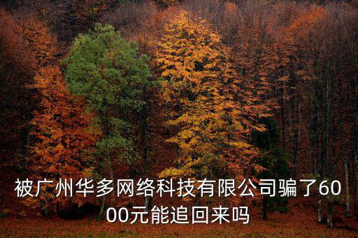 廣州望龍教育科技有限公司怎么樣，被廣州華多網絡科技有限公司騙了6000元能追回來嗎
