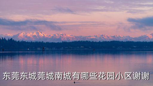東莞莞城花城名苑，從廣州天河龍口到東莞莞城走廣園快速還是走環城高速還是走南沙港