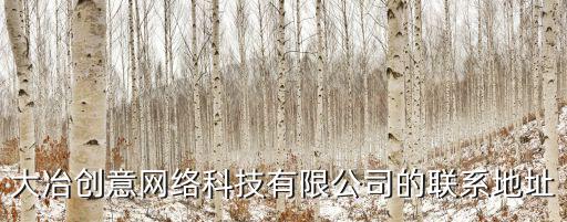 大冶創(chuàng)意網(wǎng)絡(luò)科技有限公司的聯(lián)系地址