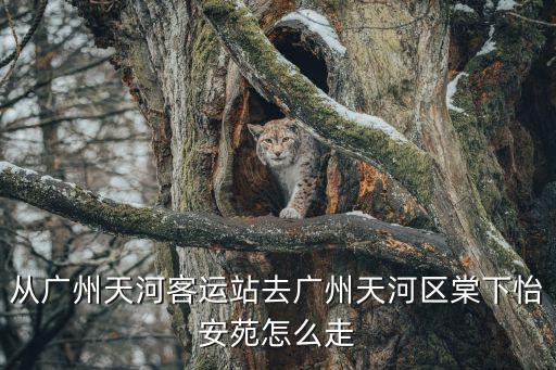 從廣州天河客運站去廣州天河區棠下怡安苑怎么走
