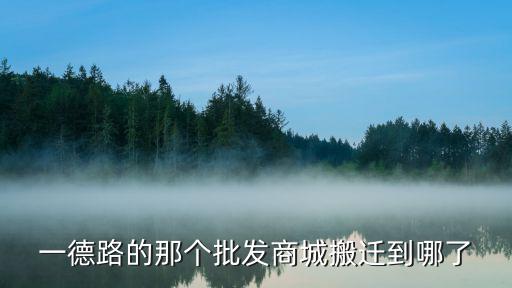 一德路的那個批發商城搬遷到哪了