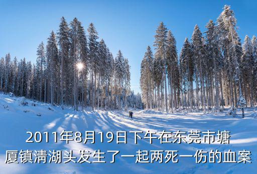 2011年8月19日下午在東莞市塘廈鎮淸湖頭發生了一起兩死一傷的血案