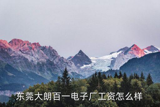 東莞大朗百一電子廠工資怎么樣