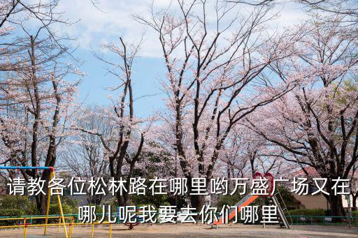 請(qǐng)教各位松林路在哪里喲萬(wàn)盛廣場(chǎng)又在哪兒呢我要去你們哪里