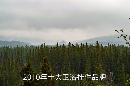 2010年十大衛(wèi)浴掛件品牌