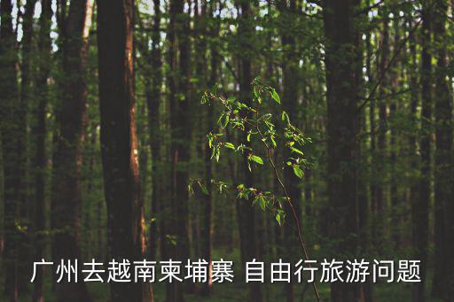 廣州去越南柬埔寨 自由行旅游問(wèn)題