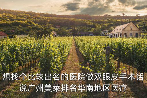 想找個比較出名的醫院做雙眼皮手術話說廣州美萊排名華南地區醫療