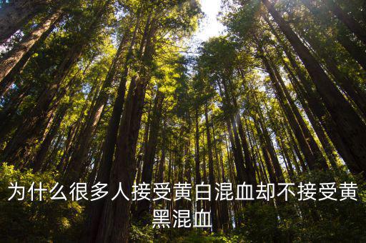 為什么很多人接受黃白混血卻不接受黃黑混血