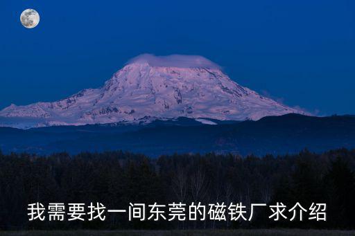 東莞上品磁業(yè)，我需要找一間東莞的磁鐵廠求介紹