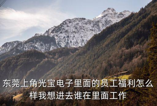 東莞上角光寶電子里面的員工福利怎么樣我想進去誰在里面工作