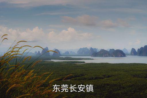 東莞長(zhǎng)安鎮(zhèn)