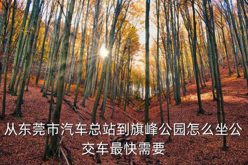 從東莞市汽車總站到旗峰公園怎么坐公交車最快需要