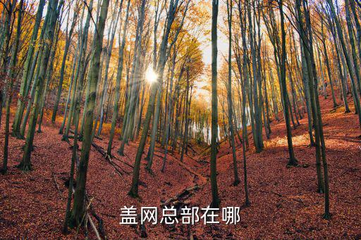 蓋網總部在哪
