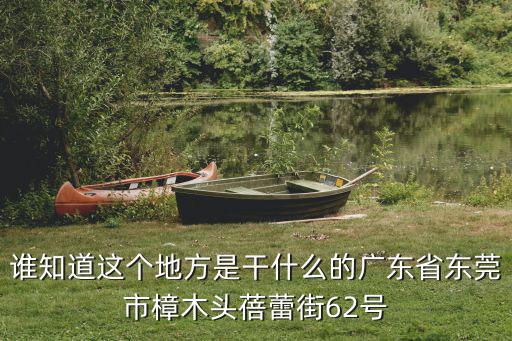 誰知道這個地方是干什么的廣東省東莞市樟木頭蓓蕾街62號