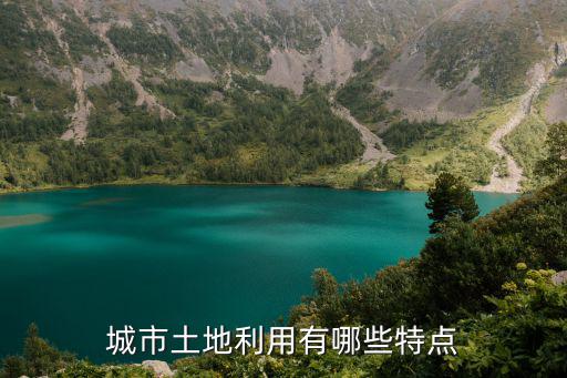 城市土地利用有哪些特點