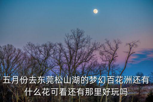 五月份去東莞松山湖的夢幻百花洲還有什么花可看還有那里好玩嗎