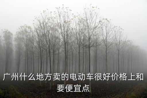 廣州什么地方賣的電動(dòng)車很好價(jià)格上和要便宜點(diǎn)