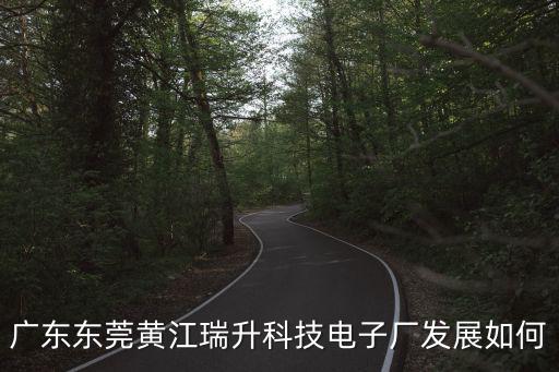 廣東東莞黃江瑞升科技電子廠發展如何