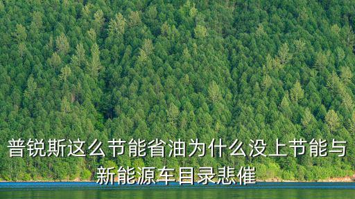 廣州限牌 普銳斯為什么不在新能源車指標(biāo)內(nèi)，廣州普通指標(biāo)和新能源指標(biāo)是否沖突