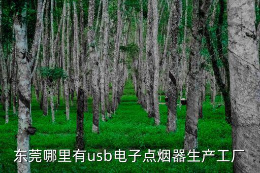 東莞哪里有usb電子點(diǎn)煙器生產(chǎn)工廠