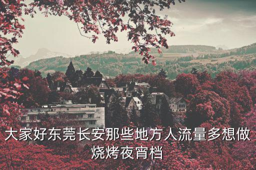 大家好東莞長安那些地方人流量多想做燒烤夜宵檔
