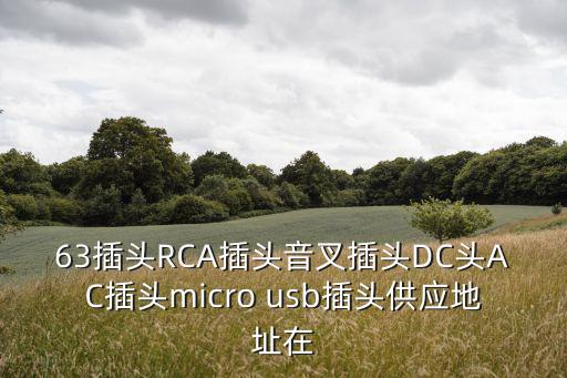 63插頭RCA插頭音叉插頭DC頭AC插頭micro usb插頭供應地址在