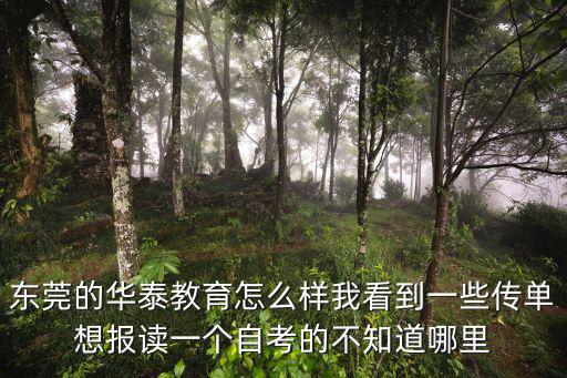 東莞的華泰教育怎么樣我看到一些傳單想報讀一個自考的不知道哪里