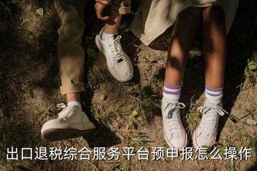 出口退稅綜合服務平臺預申報怎么操作