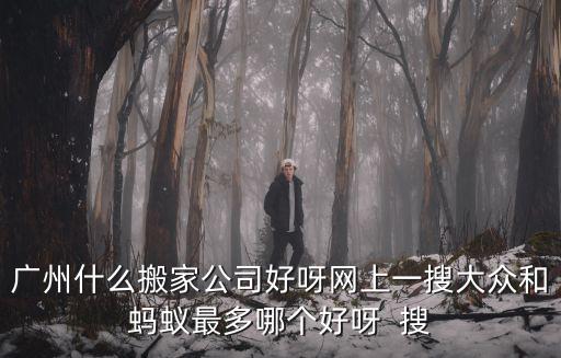 廣州什么搬家公司好呀網上一搜大眾和螞蟻最多哪個好呀  搜