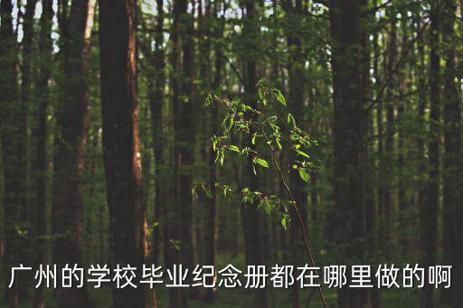 廣州紀(jì)念冊設(shè)計(jì)，畢業(yè)了想做紀(jì)念冊廣州哪里有做這個(gè)的廠家啊