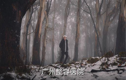 廣州整容，廣州整容醫院