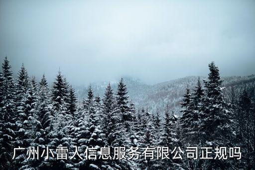 廣州信用卡代辦公司，廣州小雷人信息服務有限公司正規嗎