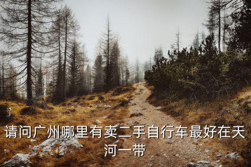 請問廣州哪里有賣二手自行車最好在天河一帶