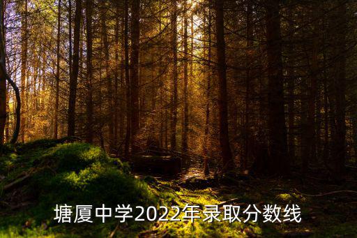 塘廈中學2022年錄取分數線