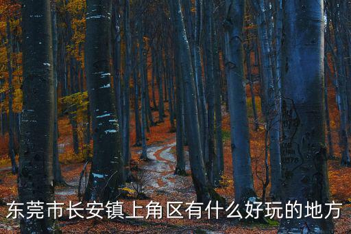 東莞市長安鎮上角區有什么好玩的地方
