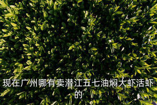 現(xiàn)在廣州哪有賣潛江五七油燜大蝦活蝦的
