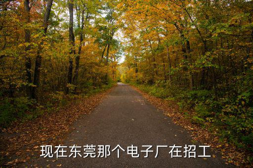 現(xiàn)在東莞那個電子廠在招工